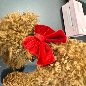 Natali added a photo of their purchase