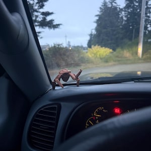 Jeffrey added a photo of their purchase