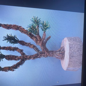 Karen added a photo of their purchase