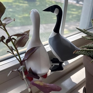Savannah added a photo of their purchase