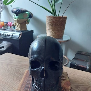 charlotte added a photo of their purchase