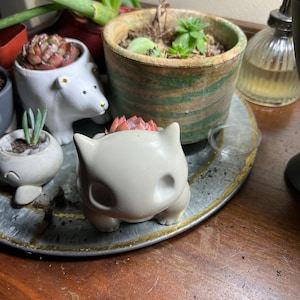 Abby ha añadido una foto de su compra