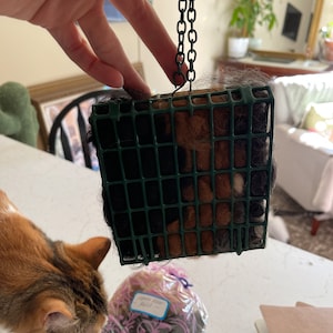 Elyse adicionaram uma foto da sua compra