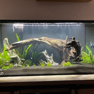 Tristan added a photo of their purchase