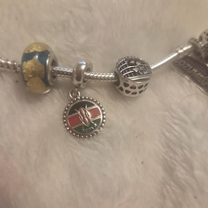 Carolyn added a photo of their purchase