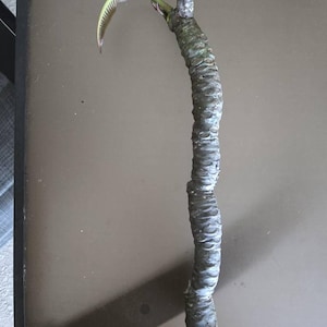 Beth added a photo of their purchase