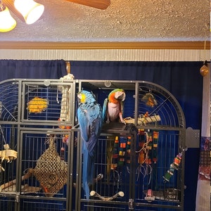 Tammie added a photo of their purchase