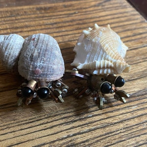 Dessislava added a photo of their purchase