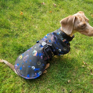 Charlotte added a photo of their purchase