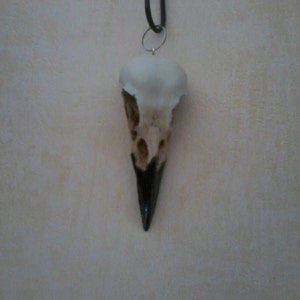 Loic added a photo of their purchase