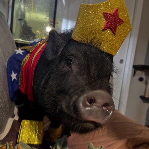 Kayla heeft een foto van de aankoop toegevoegd