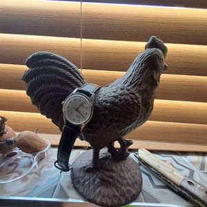 James added a photo of their purchase
