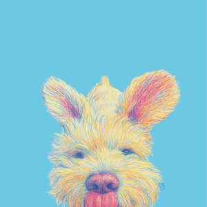 Maria ha añadido una foto de su compra