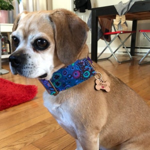 Leslie added a photo of their purchase