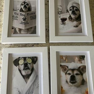 Susan ha aggiunto una foto del proprio acquisto