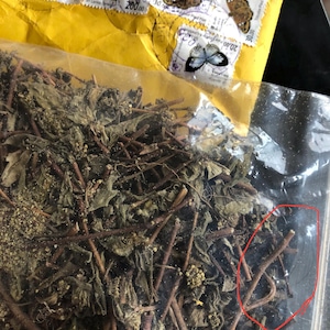 Sunitha added a photo of their purchase