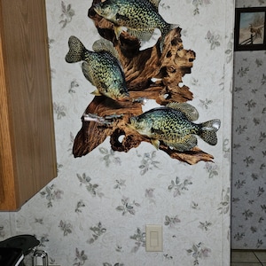 A added a photo of their purchase