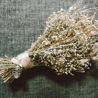 Pixie image