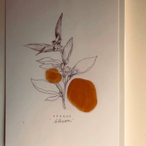 Maria a ajouté une photo de son achat