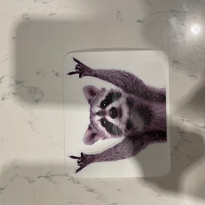 NSS Raccoon Rock Sticker