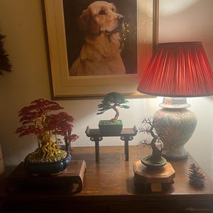 Chris added a photo of their purchase