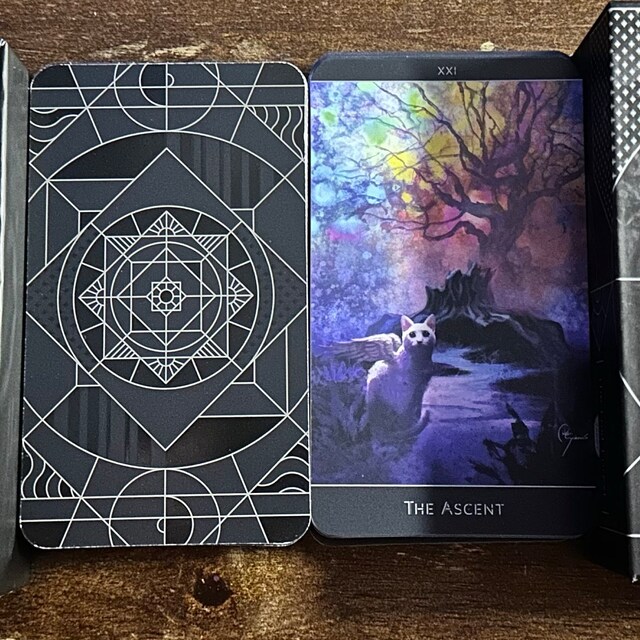 The Lost Forest™: 3rd Edition 80 Card Indie Tarot Deck - Etsy The Lost Forest™: 3rd Edition 80 Card Indie Tarot Deck - Etsy