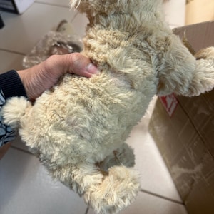 Johnson added a photo of their purchase