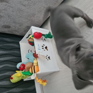 Shannon added a photo of their purchase
