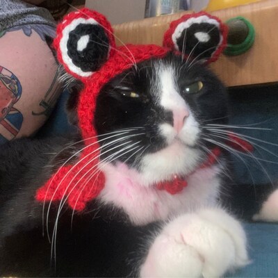 Crab Hat for Cats, Funny Feline Crab Accessory / Costume, Crab Hat With