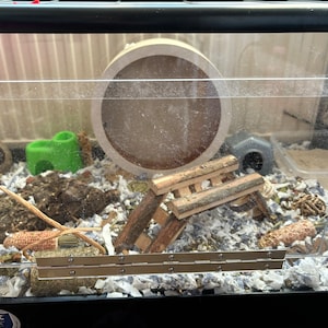 verity added a photo of their purchase