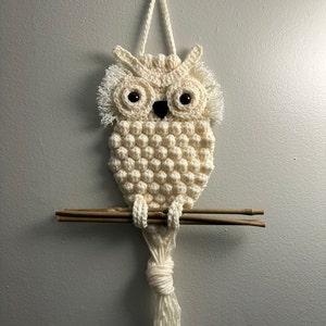 Owl Crochet Pattern PDF File Wall Hanging - Etsy