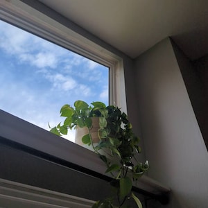 Plant Pots for Indoor Plants - Large (10"), Medium (8") or Small (6") Boho Plant Pots, Modern Planters.  Perfect Plant Mom Gift.