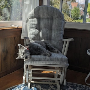 Vicki added a photo of their purchase