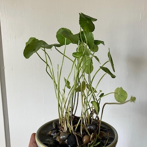 River added a photo of their purchase