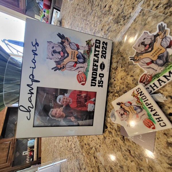 Bandierina Feltro NCAA Pennant In Feltro Michigan Tech Huskies 12x30 Pollici - Per Tifosi NCAA, Collezione O Decorazione Pennant Michigan Tech Huskies