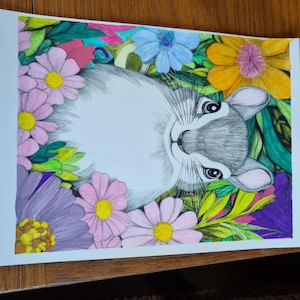 Jo added a photo of their purchase