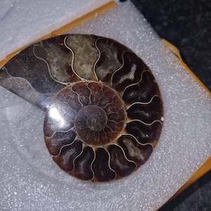 Evelyn added a photo of their purchase