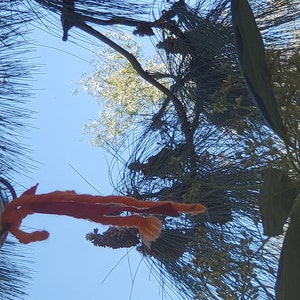 quaco ha añadido una foto de su compra