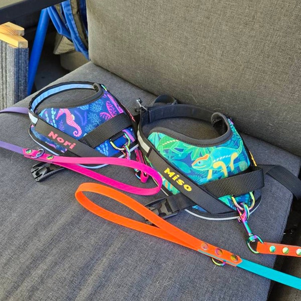 Custom Order | Biothane® Rope Slip Lead Leash (single or Bundle) - Etsy