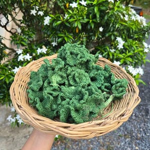 Bew added a photo of their purchase