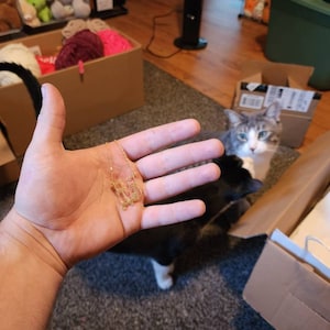 Carey added a photo of their purchase