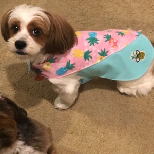 Tina added a photo of their purchase
