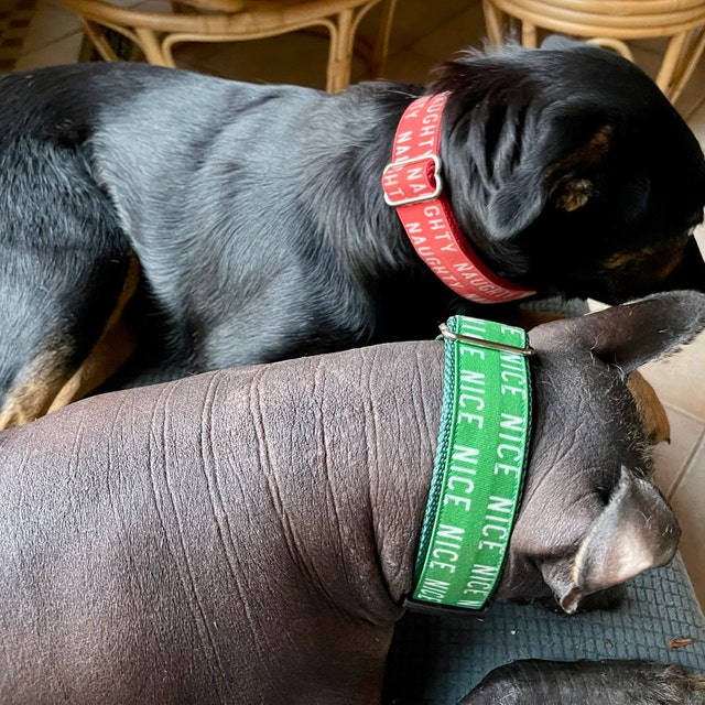 Weihnachts Hundehalsband Mit Karomuster – Rot-grüne Krawatte Für Kleine, Mittlere & Große Hunde
