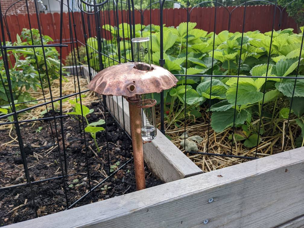 Copper Mushroom Rain Gauge