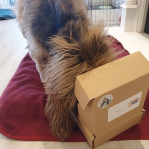 Laura added a photo of their purchase