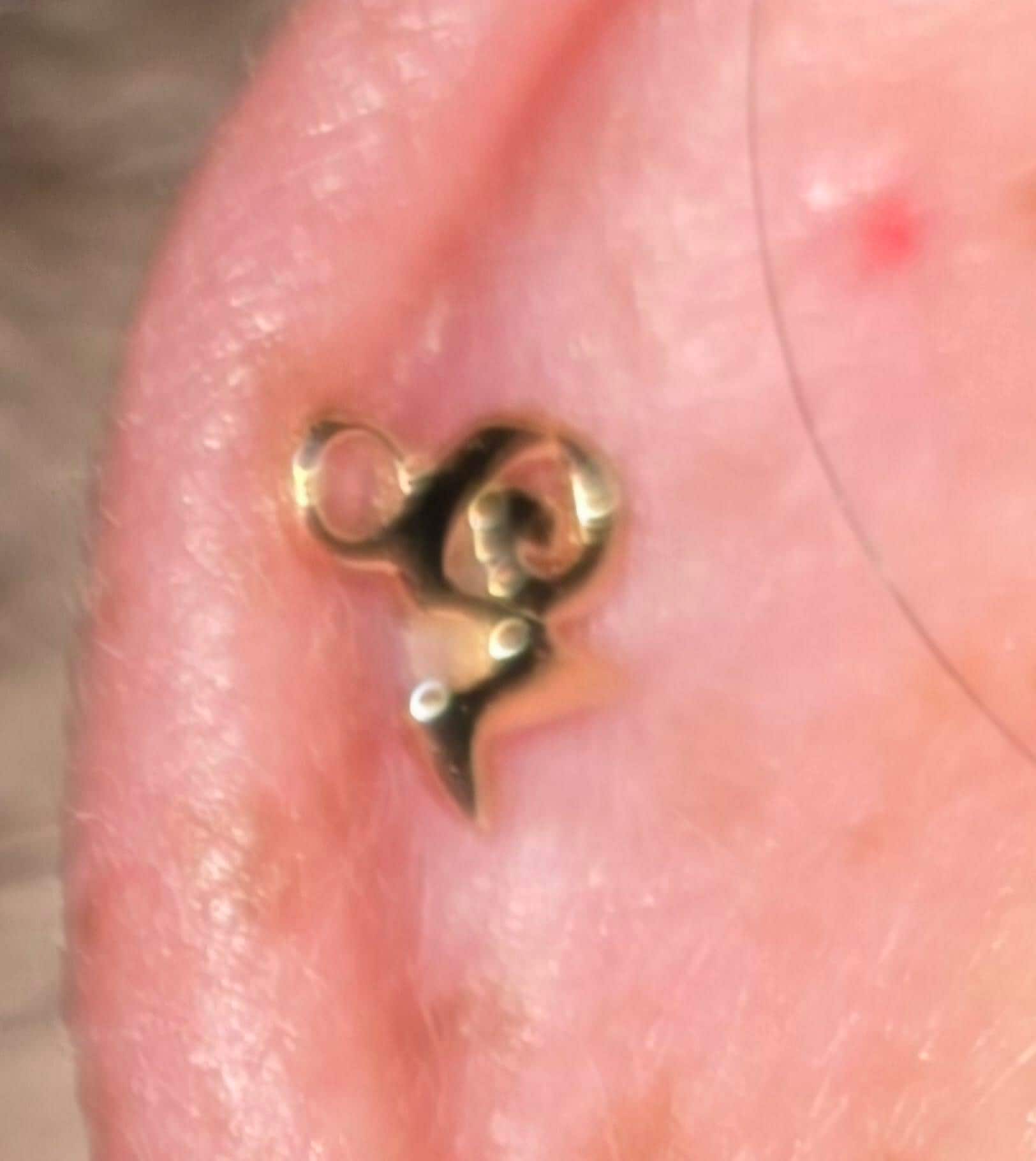 14K Solid Gold Threadless Zodiac Sign Tops/Push-In Labret/12 Constellation Zodiac Stud Earrings/Cartilage/Tragus/Helix/Conch/Earlobe Studs