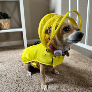 Pet Supplies Dog Raincoat With Umbrella Attached Dog Raincoat