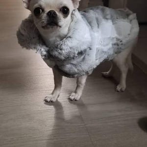 B added a photo of their purchase