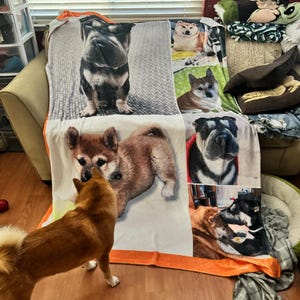 Belle added a photo of their purchase