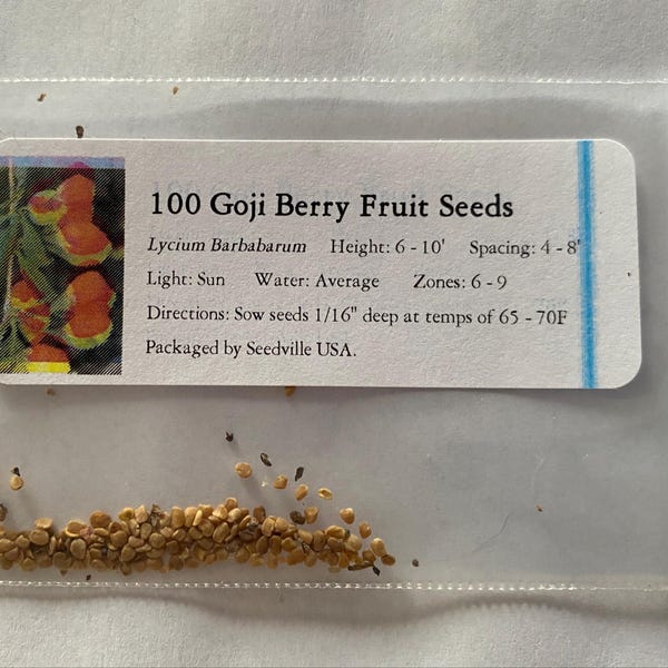 100 HIMALAYAN Tibetan GOJI BERRY Fruit Wolfberry Bush Lycium Barbarum ...